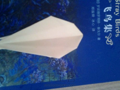 葭霂蝴蝶 第10步