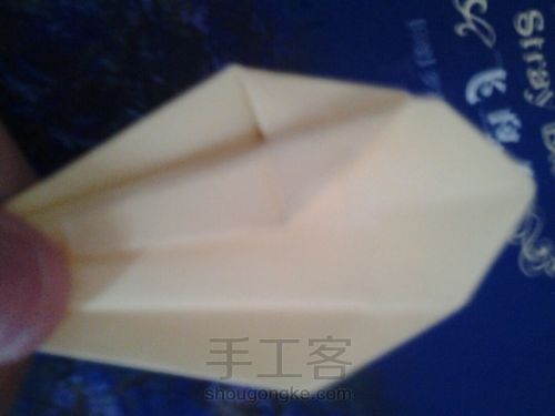 葭霂蝴蝶 第11步