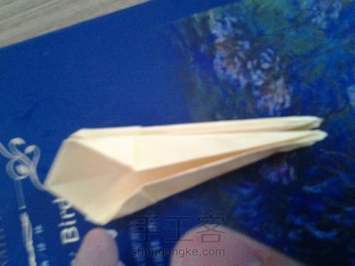 葭霂蝴蝶 第12步