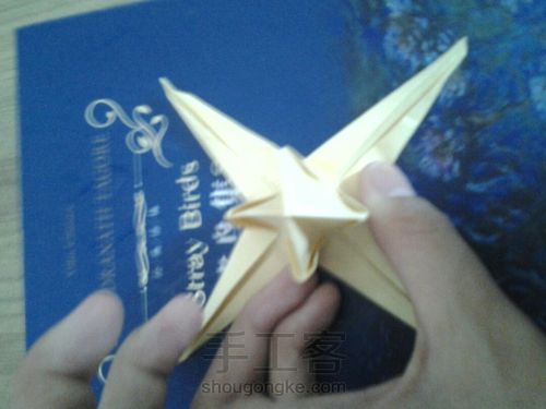 葭霂蝴蝶 第13步