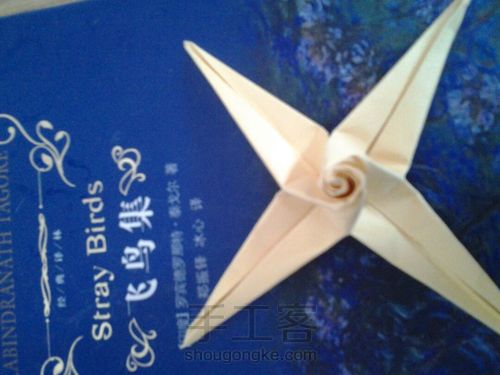 葭霂蝴蝶 第14步