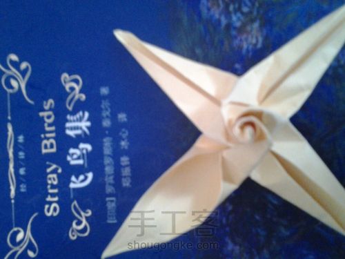 葭霂蝴蝶 第15步