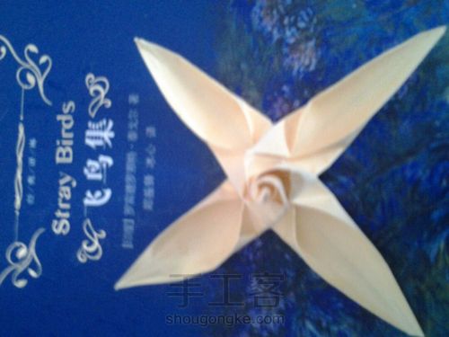 葭霂蝴蝶 第16步