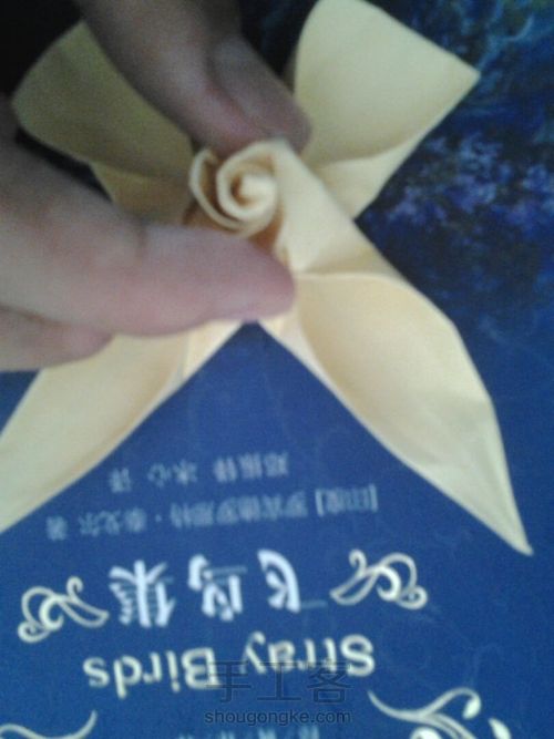 葭霂蝴蝶 第17步