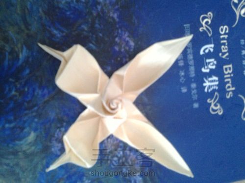 葭霂蝴蝶 第18步