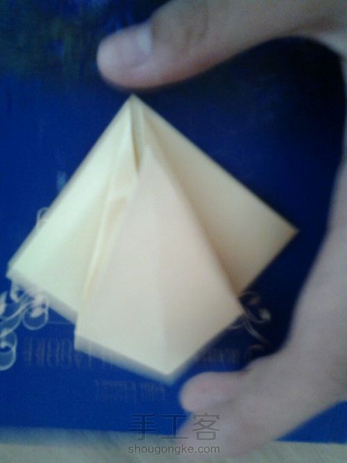 葭霂蝴蝶 第5步