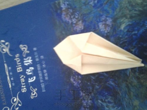 葭霂蝴蝶 第9步