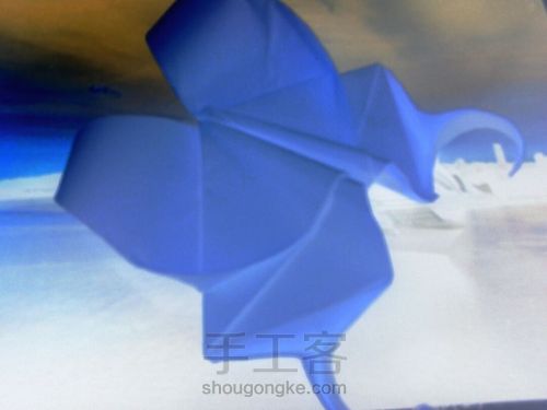 葭霂系列--小条纹蝶 第1步