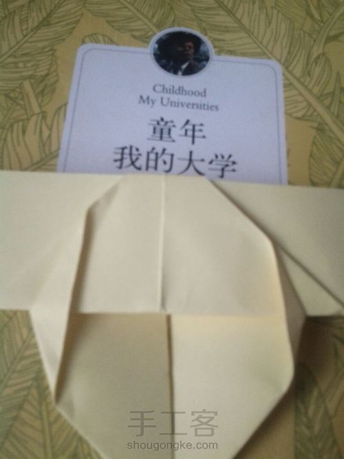 葭霂系列--小条纹蝶 第10步