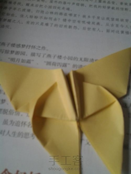 葭霂系列--小条纹蝶 第12步