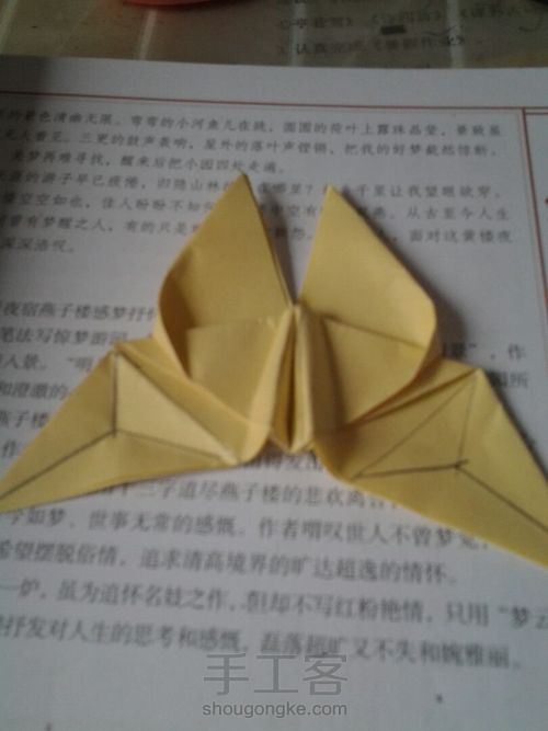 葭霂系列--小条纹蝶 第14步