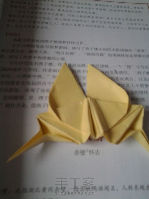 葭霂系列--小条纹蝶 第15步