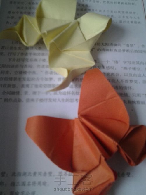 葭霂系列--小条纹蝶 第16步