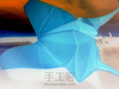 葭霂系列--小条纹蝶 第18步