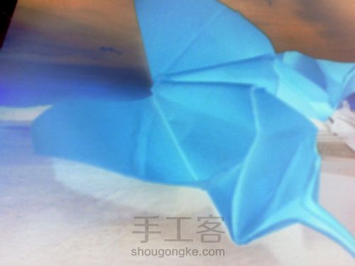 葭霂系列--小条纹蝶 第2步