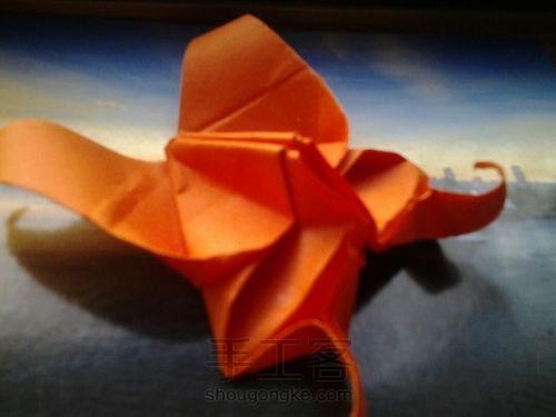 葭霂系列--小条纹蝶 第3步