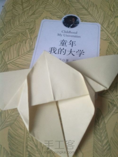 葭霂系列--小条纹蝶 第7步