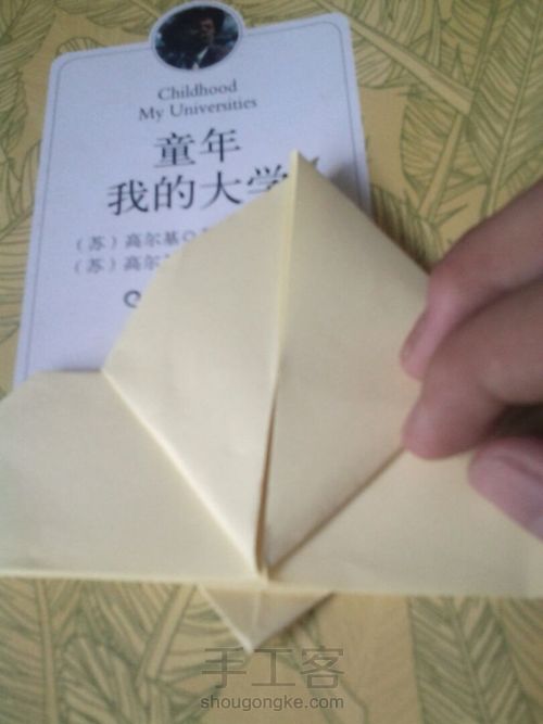 葭霂系列--小条纹蝶 第8步