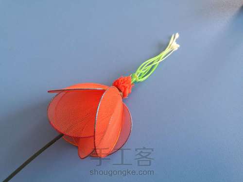 郁金香🌷 第10步