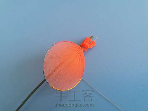 郁金香🌷 第4步