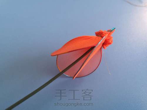 郁金香🌷 第5步