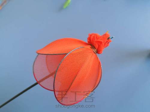 郁金香🌷 第9步