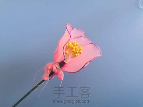 一支山茶花 第11步