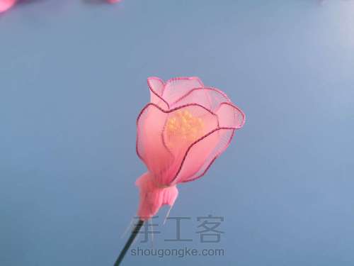 一支山茶花 第13步