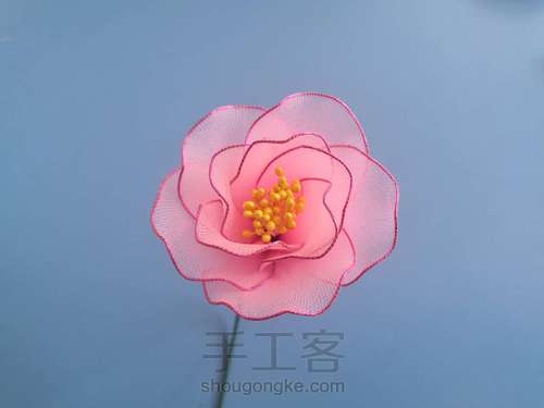 一支山茶花 第14步