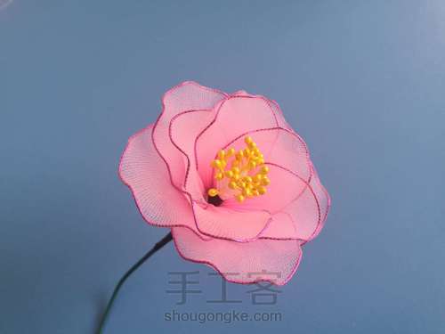 一支山茶花 第15步