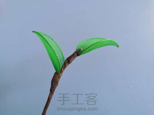 一支山茶花 第20步