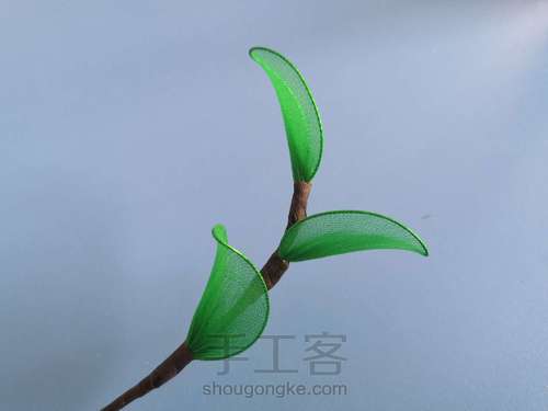 一支山茶花 第21步