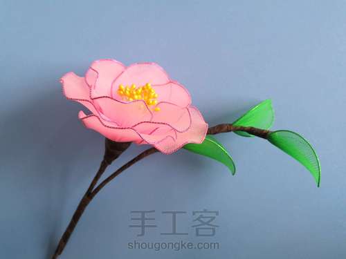 一支山茶花 第25步