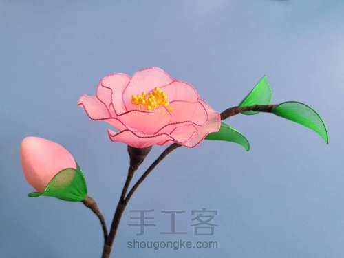 一支山茶花 第26步