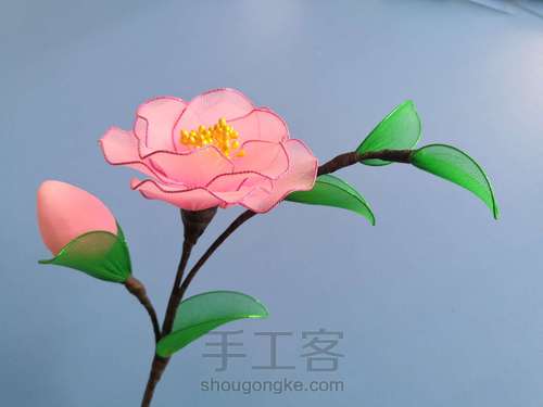 一支山茶花 第27步