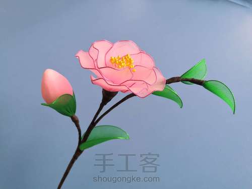 一支山茶花 第28步