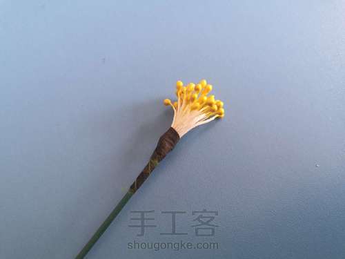 一支山茶花 第7步