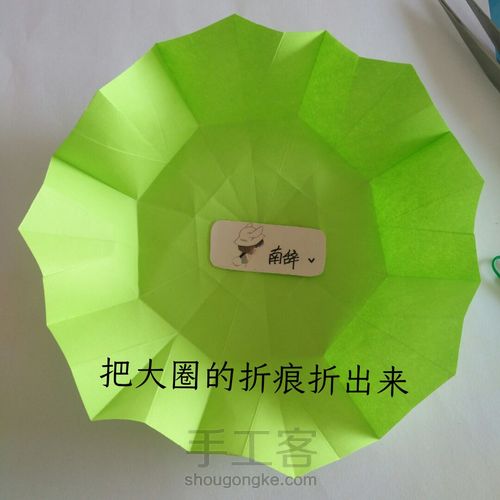 青柠大波斯菊 第17步