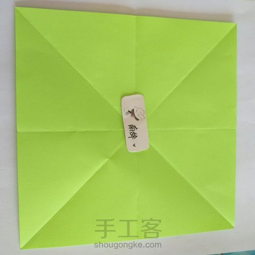 青柠大波斯菊 第2步