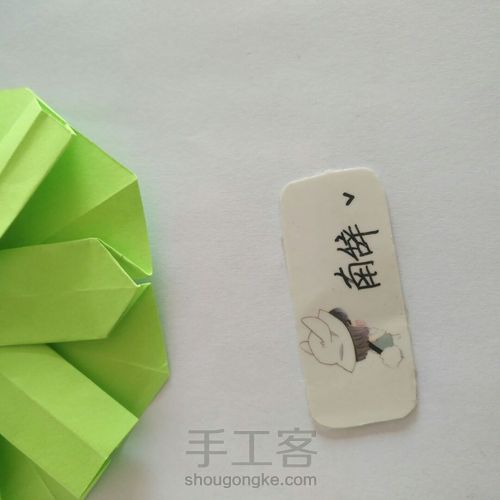 青柠大波斯菊 第30步