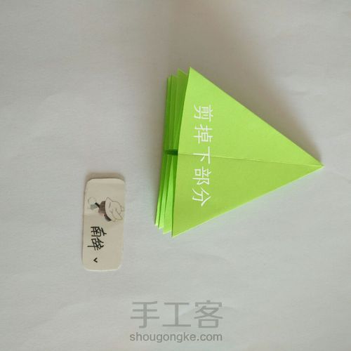 青柠大波斯菊 第7步