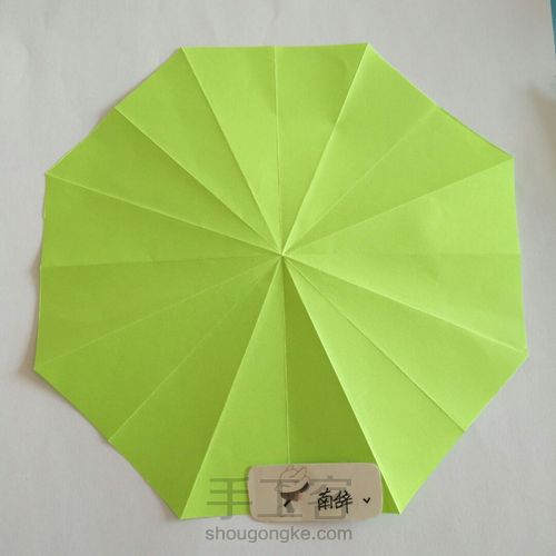 青柠大波斯菊 第8步