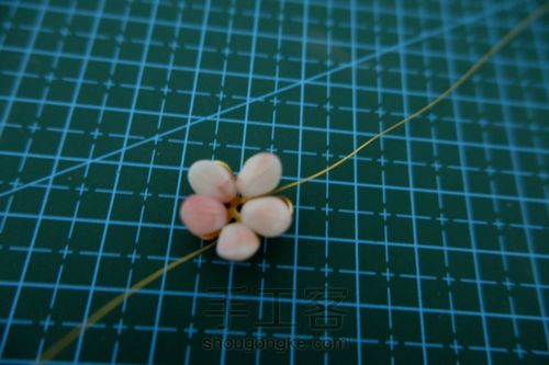 来来来绑一朵樱花吧（一） 第6步