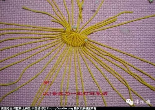 百合花转发的 第7步