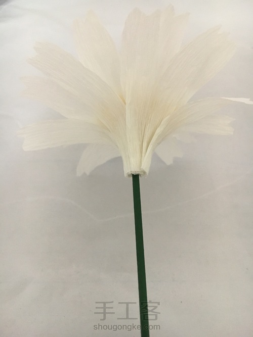 小雏菊皱纹纸花图文教程 第16步