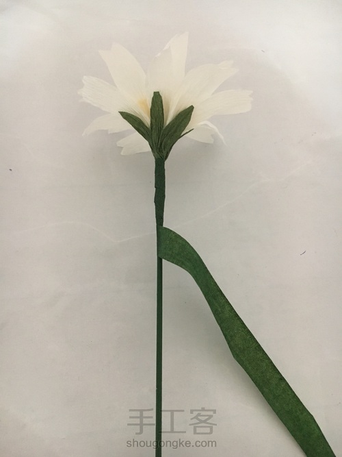 小雏菊皱纹纸花图文教程 第18步