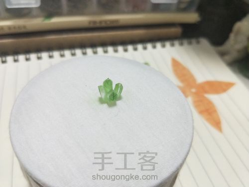 【简单热缩】蔬菜立体热缩～胡萝卜！ 第10步