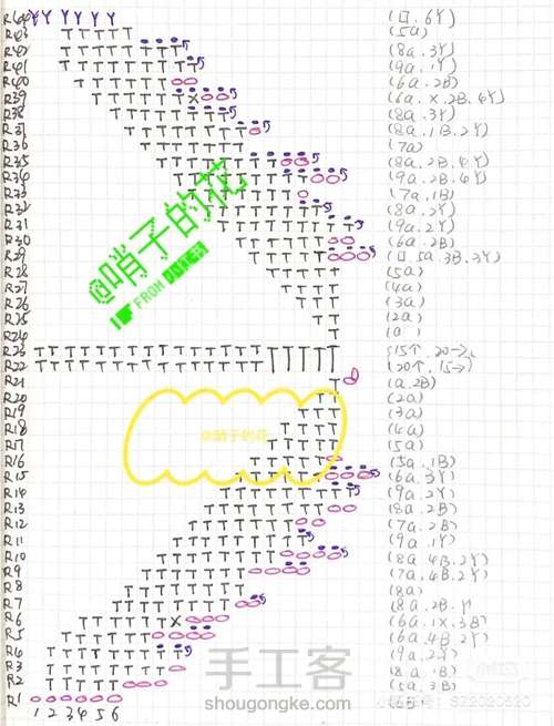 鹦鹉郁金香 第3步