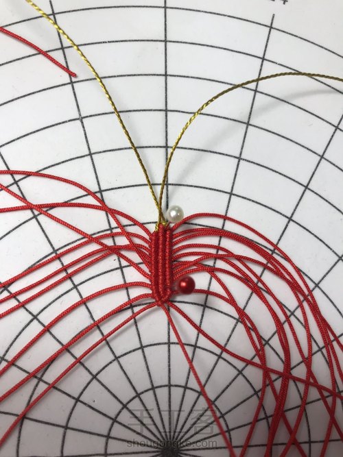 莲花花瓣教程 第20步