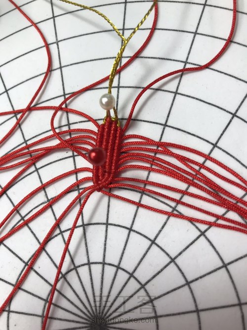 莲花花瓣教程 第25步